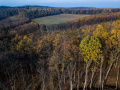 Hatvan hektár új erdőt telepített tavaly a SEFAG Zrt.