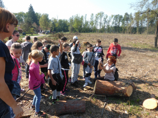 Sziágyi Erdészeti Erdei Iskola tanórája erdei környezetben