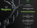 SEFAG Zrt. 2024. évi Trófeaszemléje