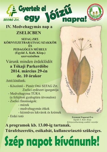 IV. Medvehagymás nap a Zselicben plakát - 2014.03.29., tókaji parkerdő